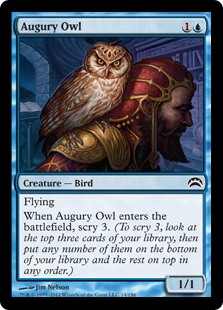 Augury Owl.jpg