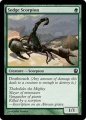 Sedge Scorpion.jpg